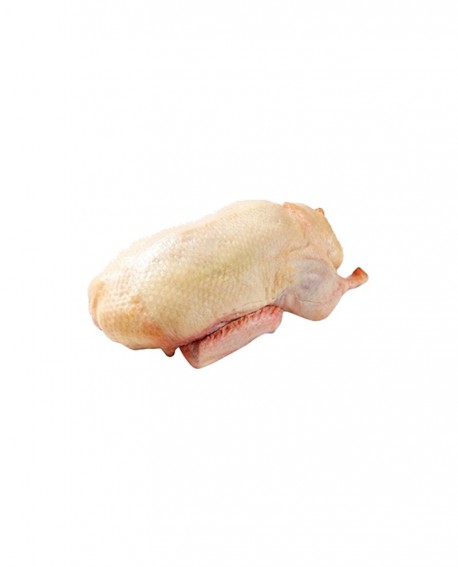Anatra busto - 2,0 kg sottovuoto - carne fresca pregiata, Quack Italia